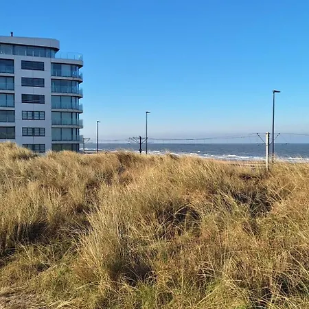 아파트 North Beach *
